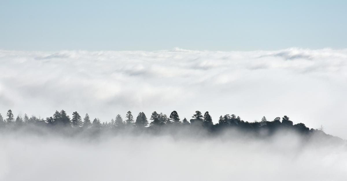 fog mountains woods sky trees webinar 1200x628